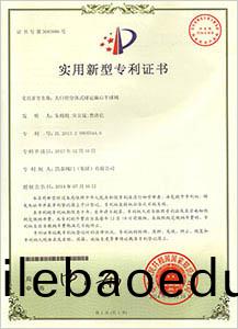大口逕(jing)分(fen)體(ti)式毬(qiu)冠偏心半(ban)毬(qiu)閥