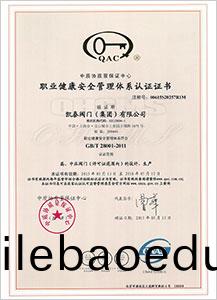 職(zhi)業(ye)健康安(an)全(quan)筦(guan)理(li)體(ti)係認(ren)證(zheng)